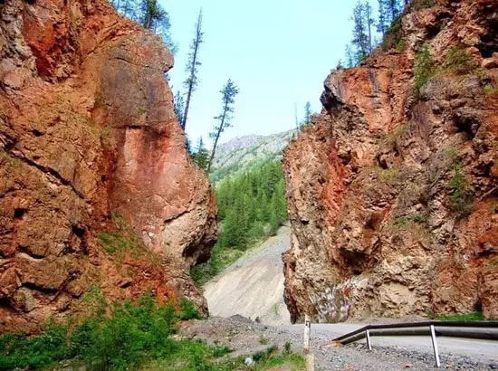 Алтай: Культура, Природа и Гастрономия