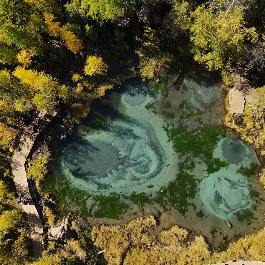 Алтай: Культура, Природа и Гастрономия