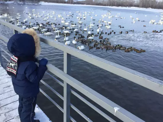 Полюбите Алтай за пять дней. Зима.