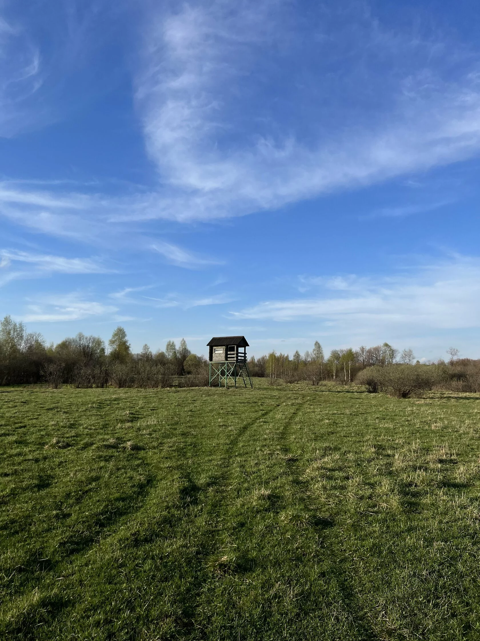 Вольерная охота на лань и благородного оленя