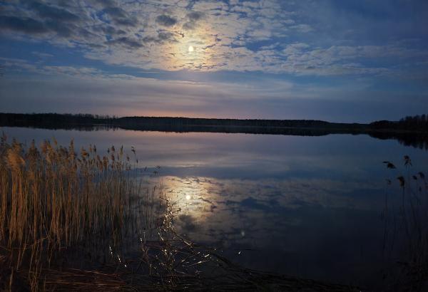 Рыбалка в Новоселках