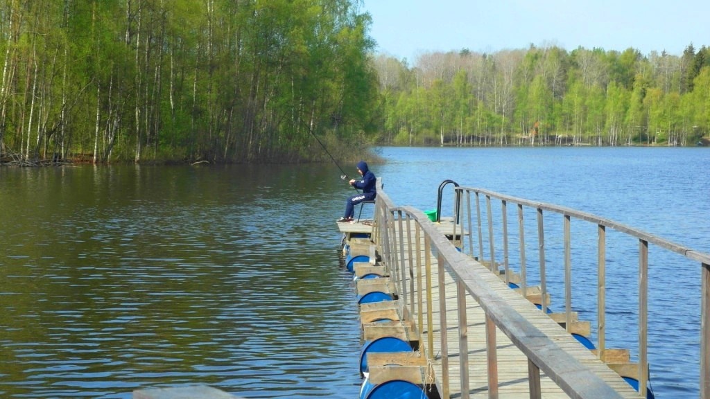 Отдых на экоферме в Ленинградской области