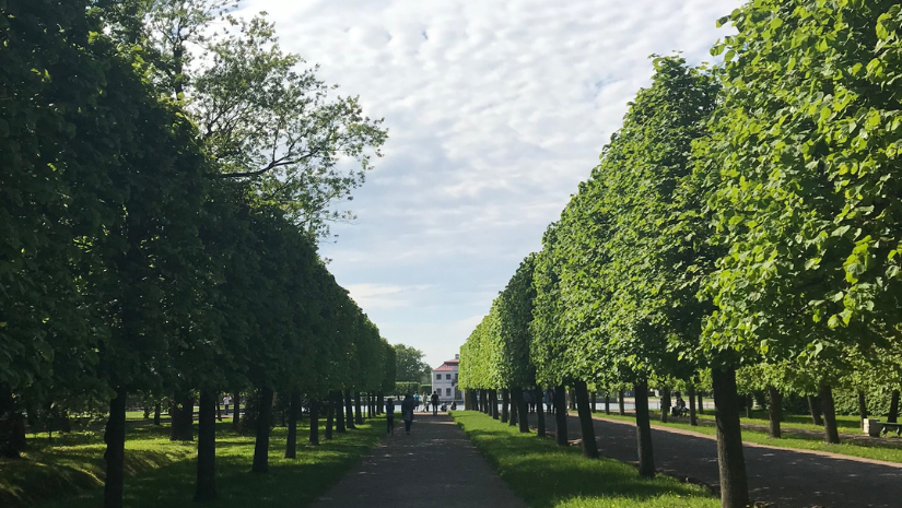 Многоликий Петербург
