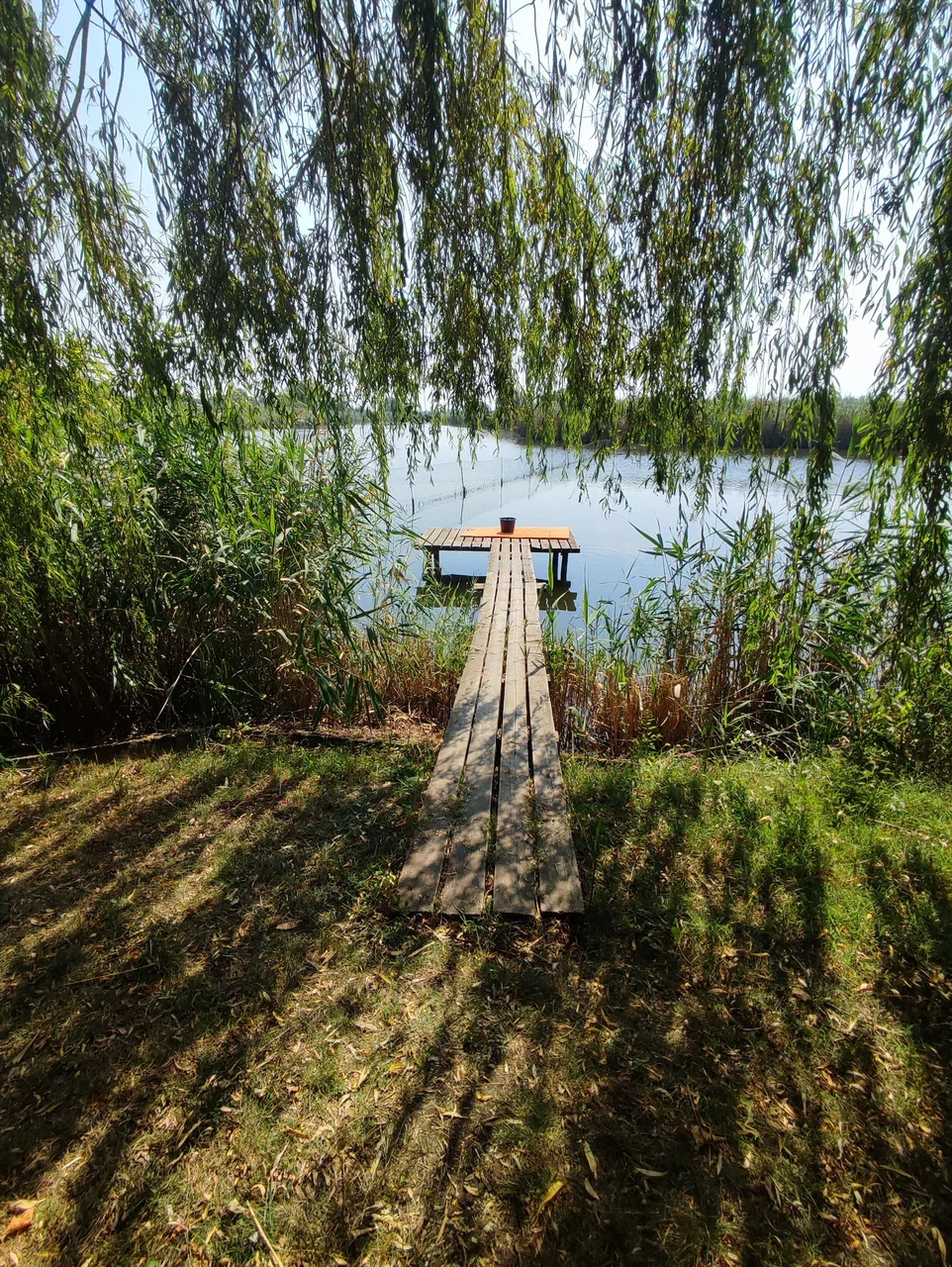 Охота на зайца с собаками в Краснодарском крае