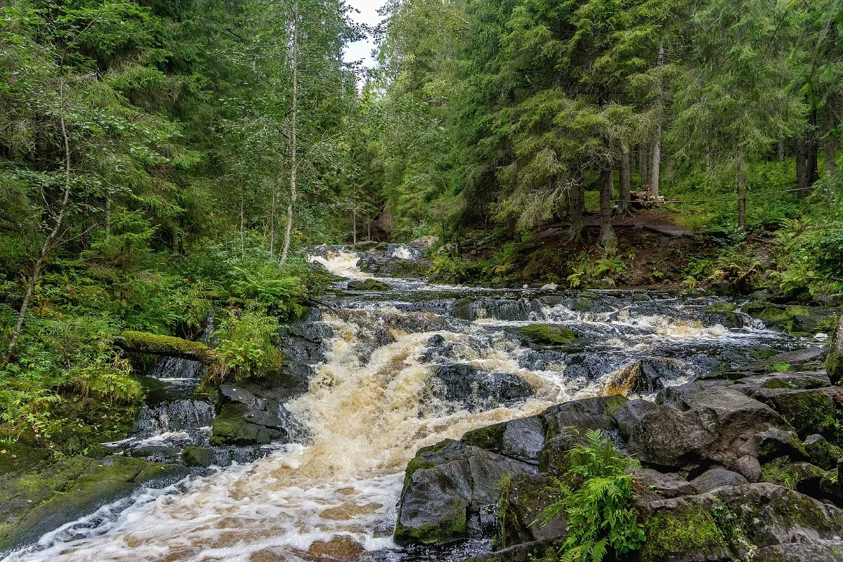 Красоты Карелии + прогулка на катере