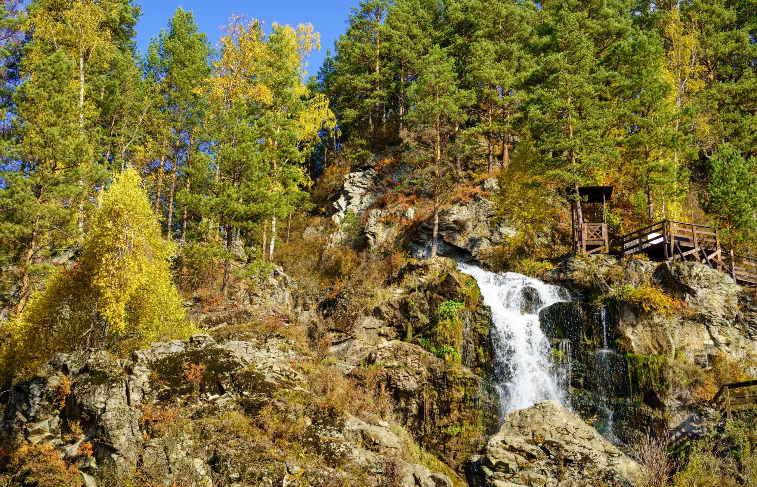 Алтайские каникулы