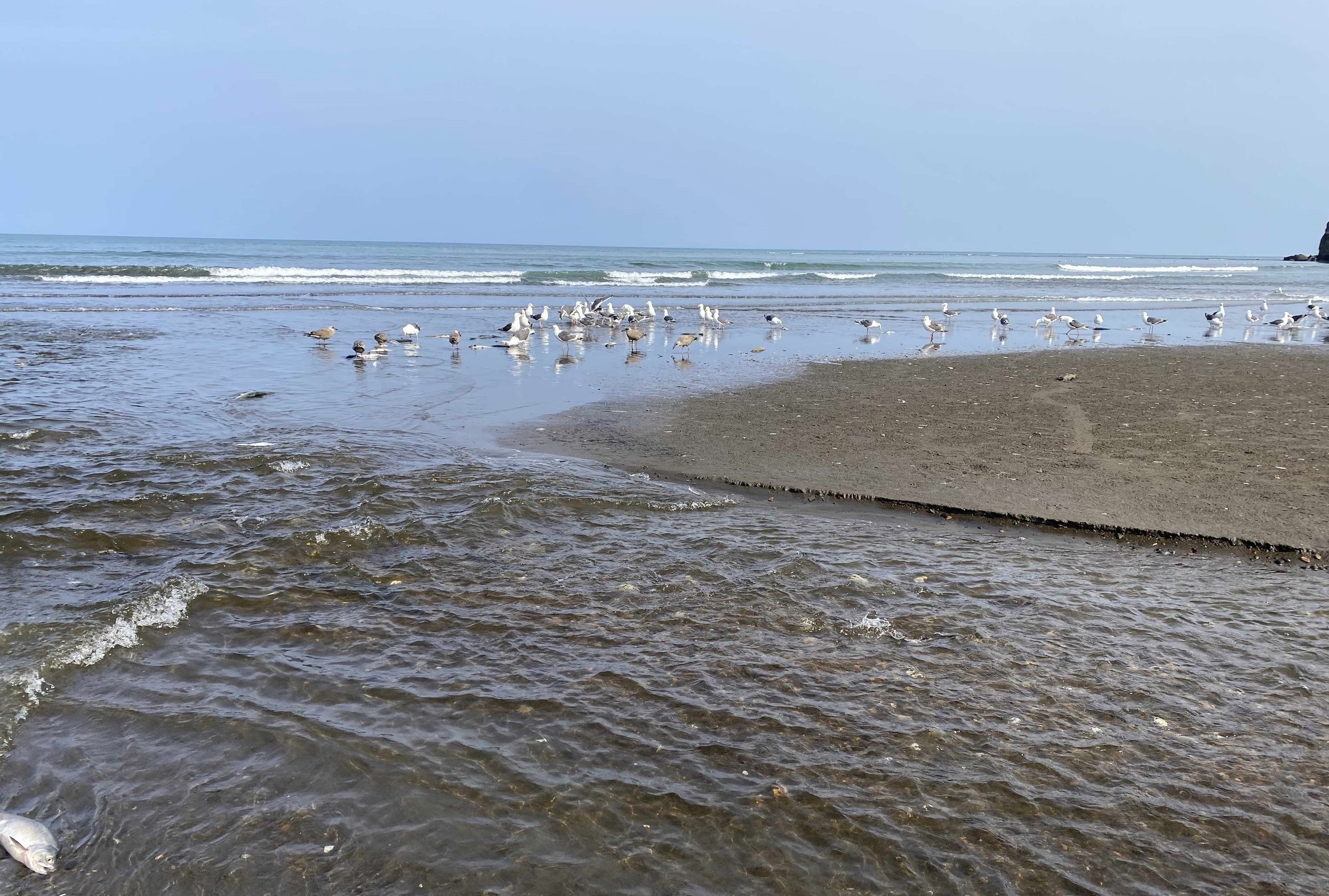 Бухта Тихая. Два дня на берегу Охотского моря