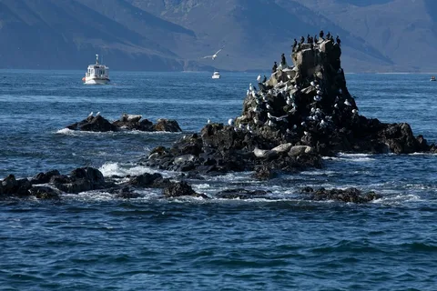  Путешествие по морю к острову Старичков