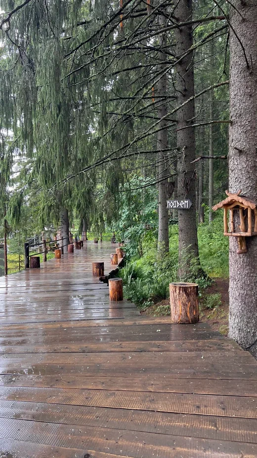 Путешествие по Карелии: водопады республики