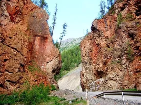 Алтай: Культура, Природа и Гастрономия