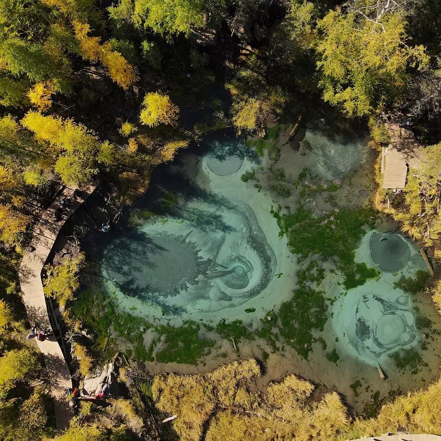 Алтай: Культура, Природа и Гастрономия