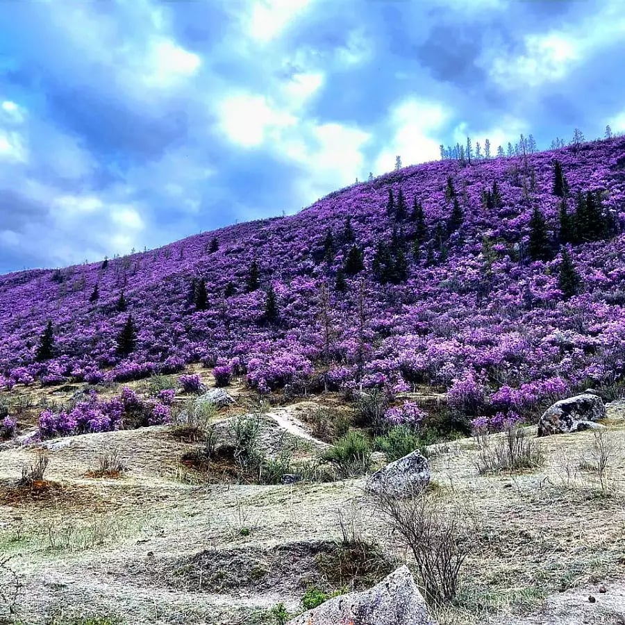 Майские каникулы на Алтае