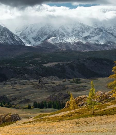 Авторские путешествия с душой по Алтаю. Лето 2024