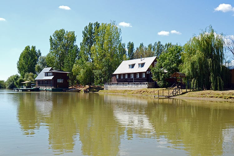 База «Нерестина»