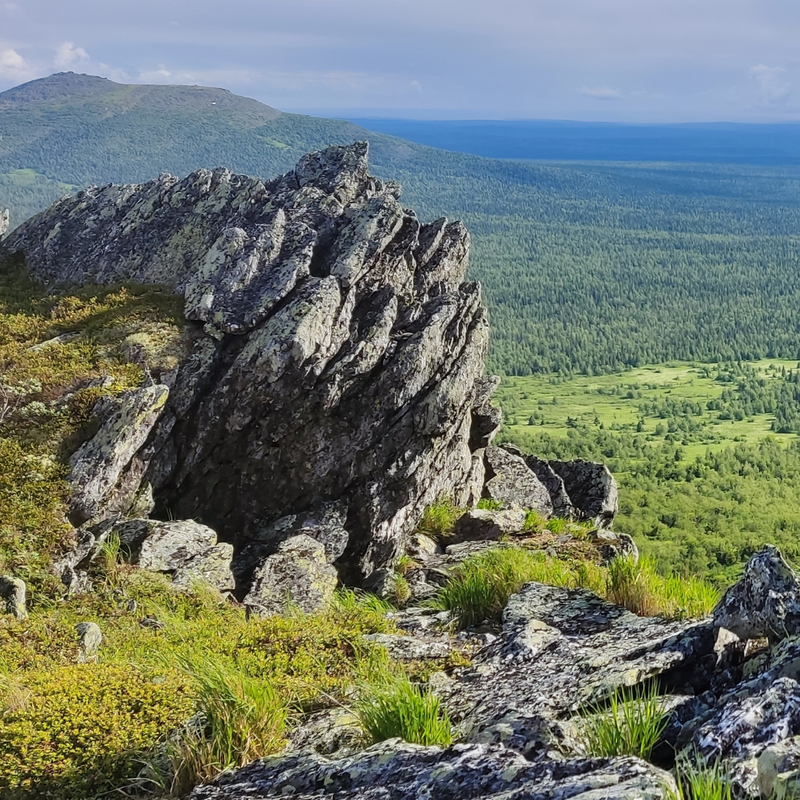 Заповедник Басеги