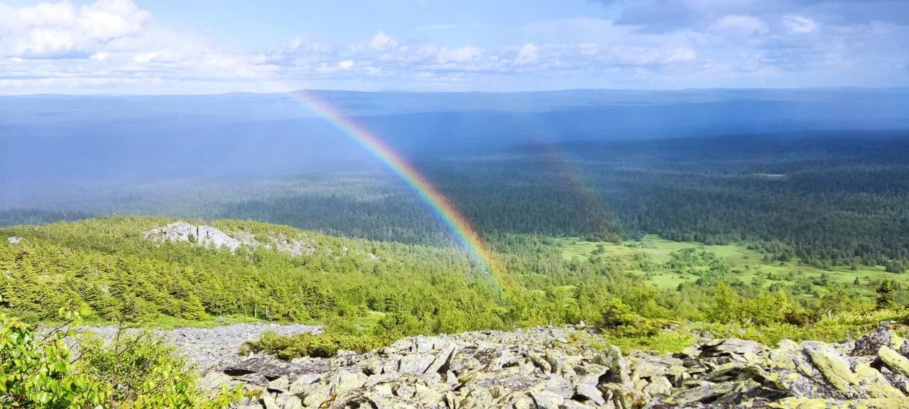 Заповедник Басеги