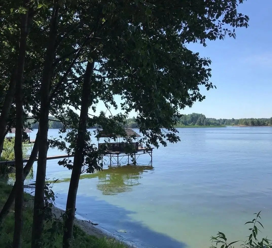 Охота на благородного и пятнистого оленя и лося в эко-отеле "Тирс"