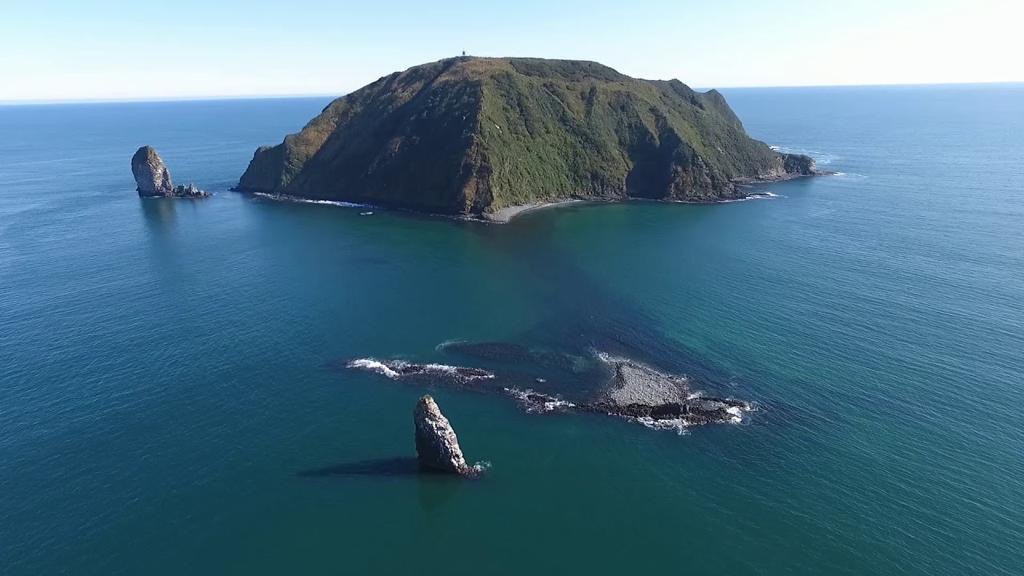 Морские экскурсии на Камчатке