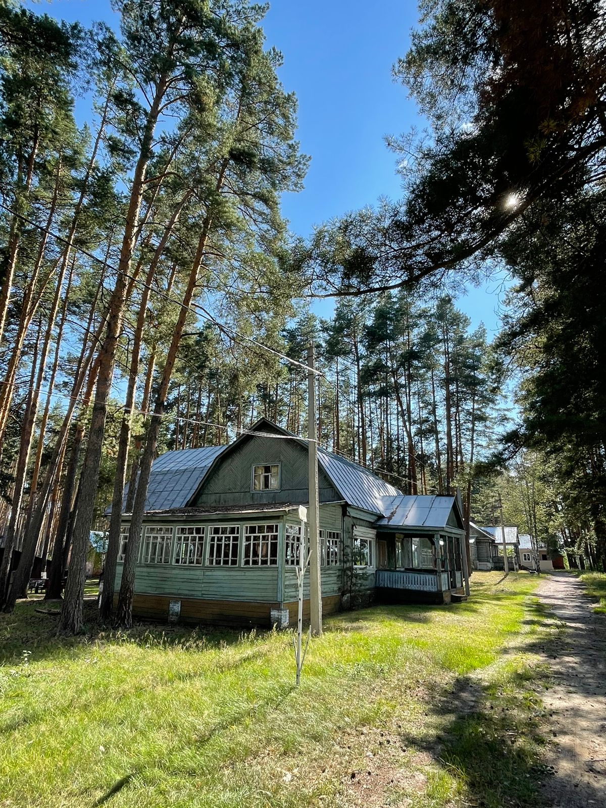 Охота на кабана с вышки или из засидки в Рязанской области