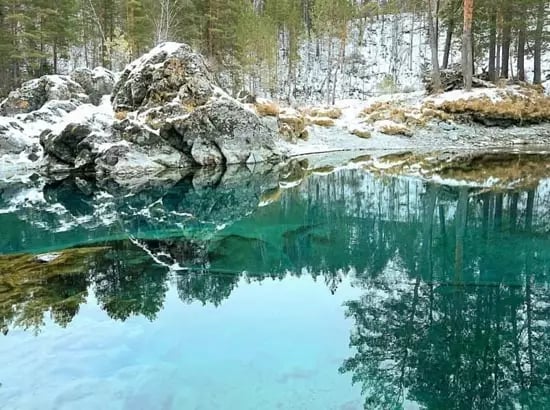Полюбите Алтай за пять дней. Зима.