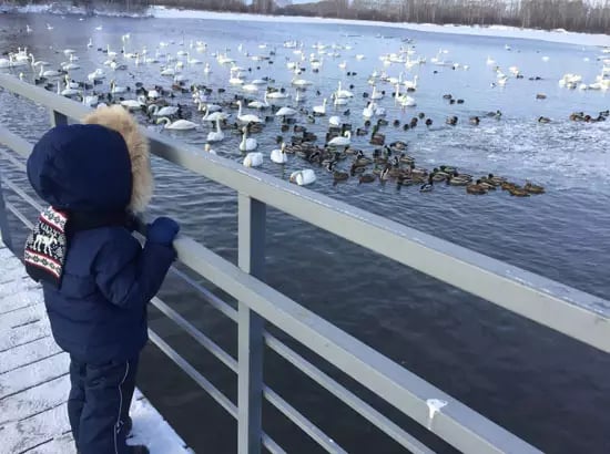 Полюбите Алтай за пять дней. Зима.
