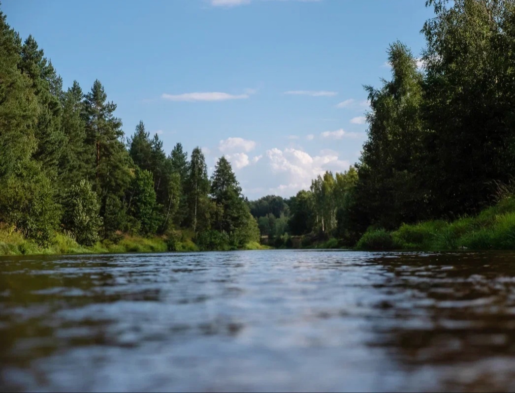 Сплав в Нижегородской области по р. Узола