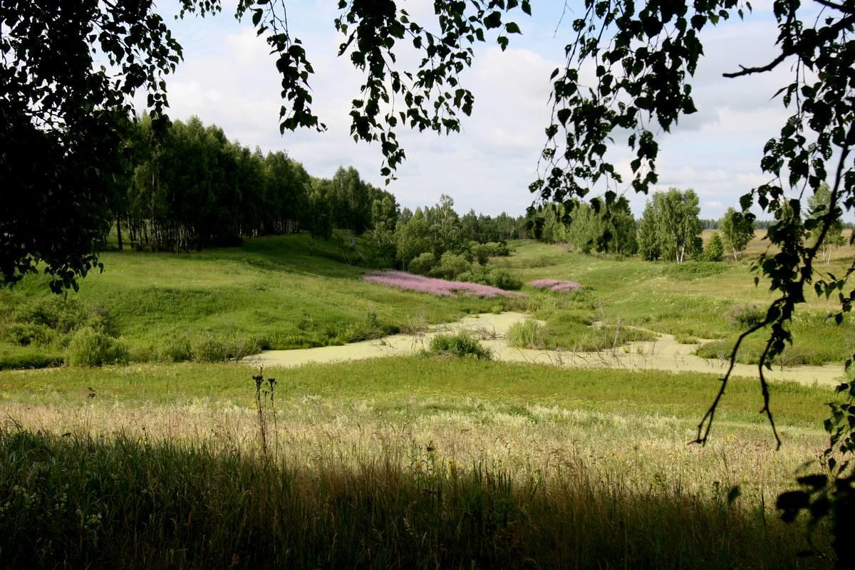Охота на благородного оленя и косулю в Тульской области