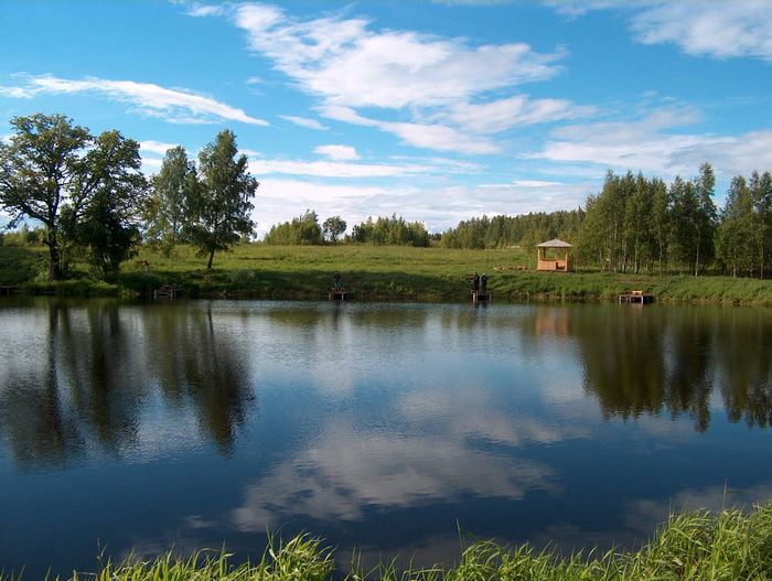 Семейный отдых в самом сердце лесных угодий