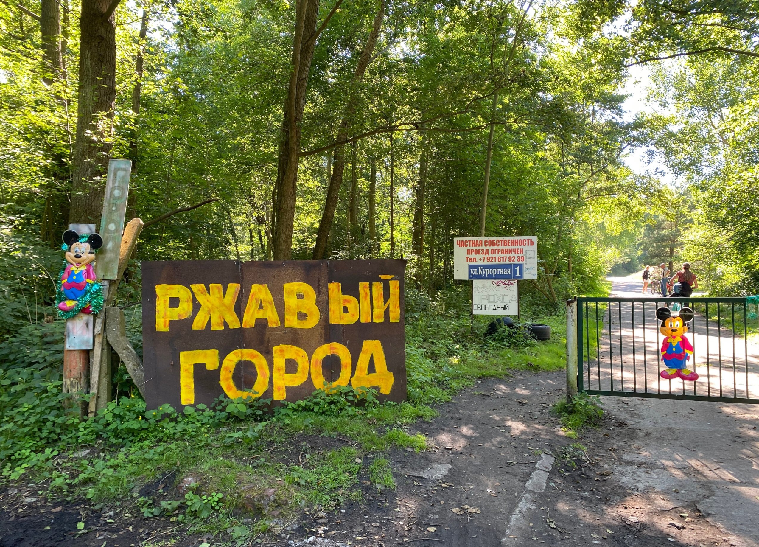 Рыцарский тур: от замка до Калининградской Венеции