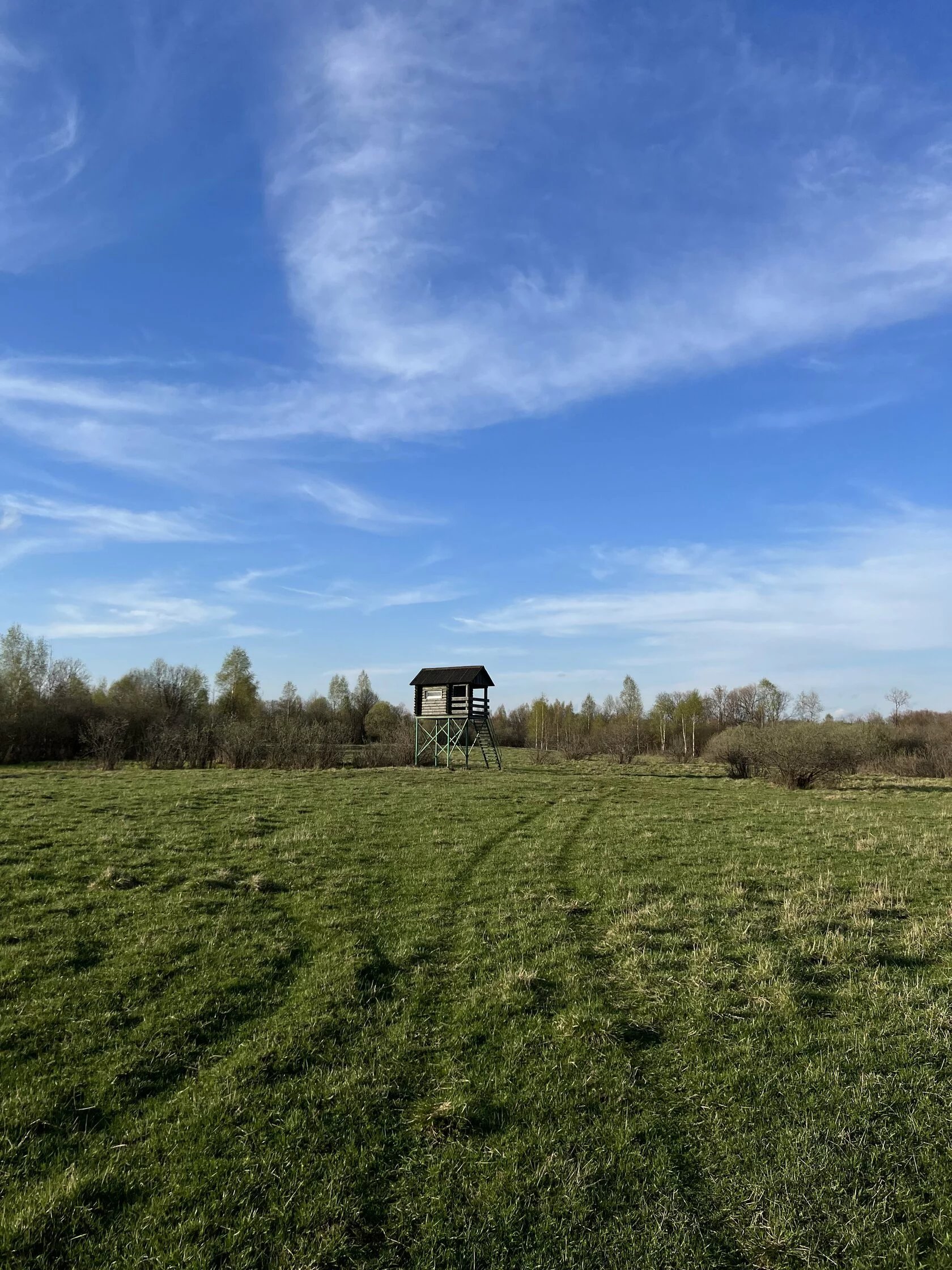 Вольерная охота на лань и благородного оленя