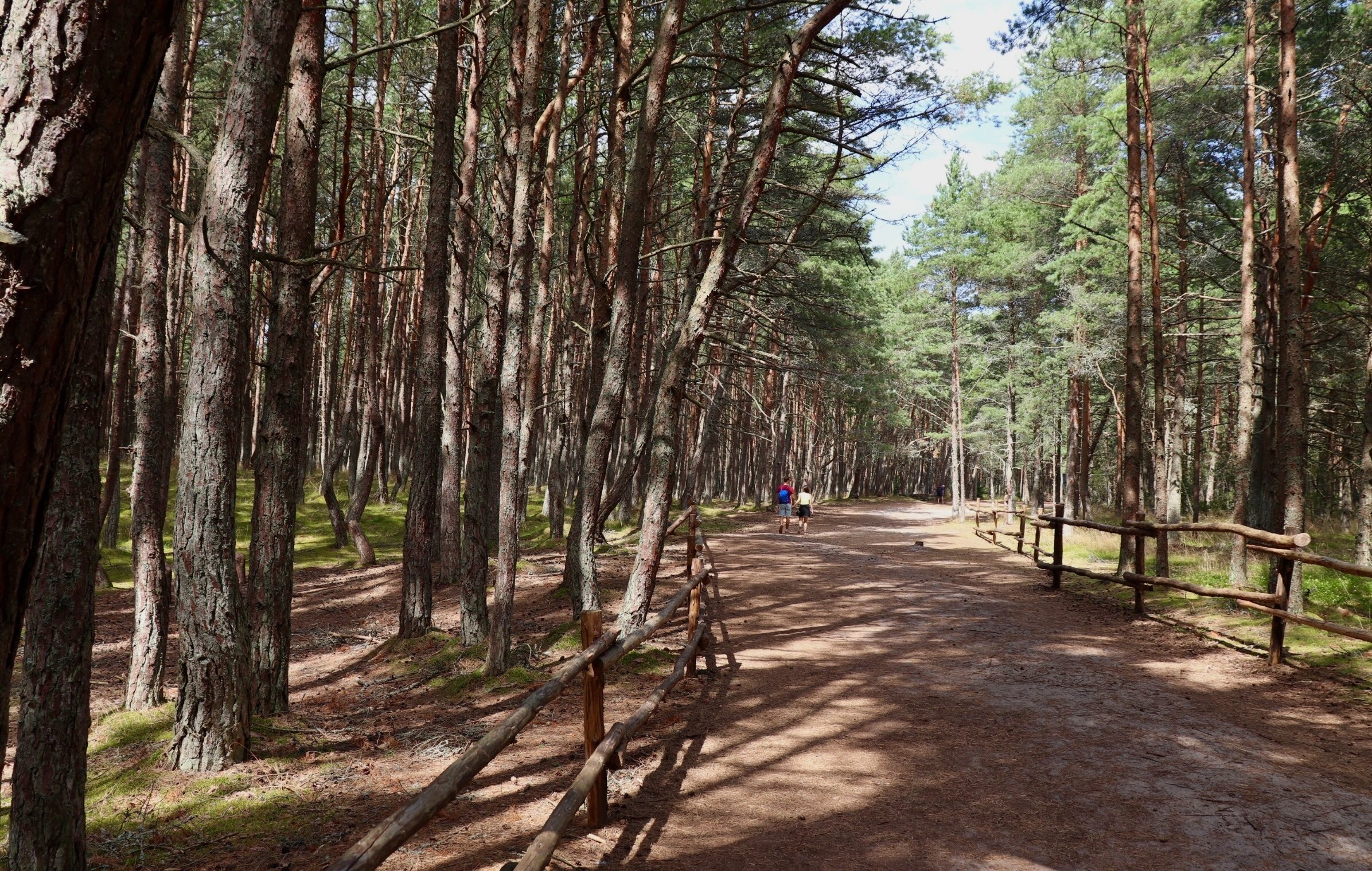 Балтийская сказка: тур с отдыхом в spa-отеле 5*