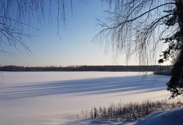 Рыболовная база в Клинском районе