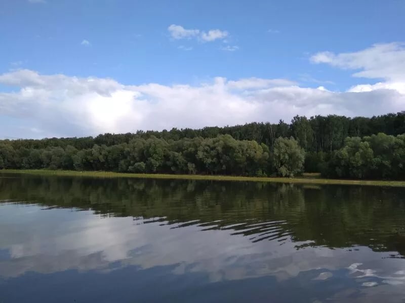 Увлекательная рыбалка и семейных отдых в рыболовном клубе в Домодедово