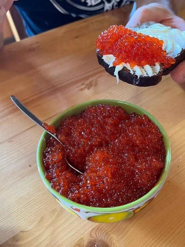 Курильские приключения