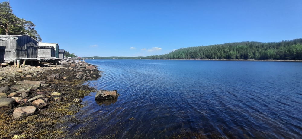 Морская рыбалка на треску на Кольском полуострове
