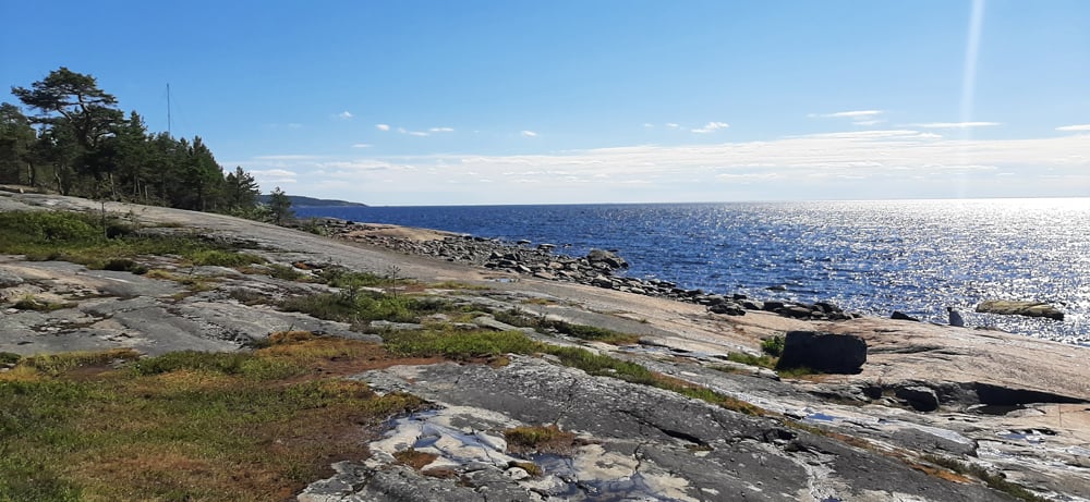 Морская рыбалка на треску на Кольском полуострове
