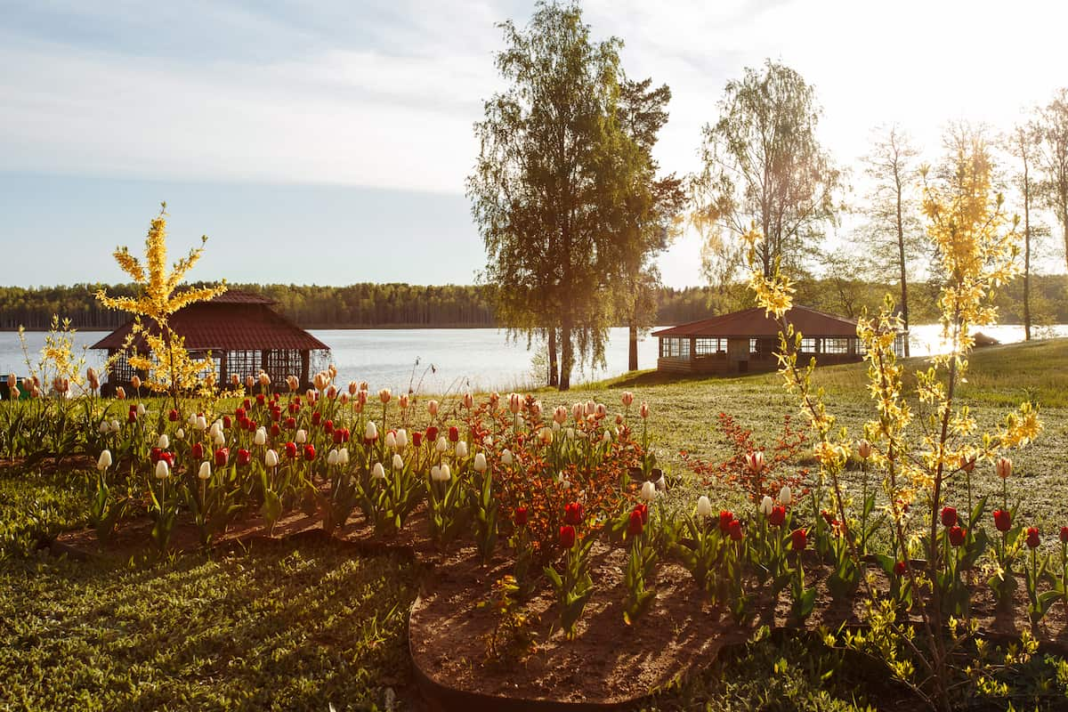 Охота на благородного оленя