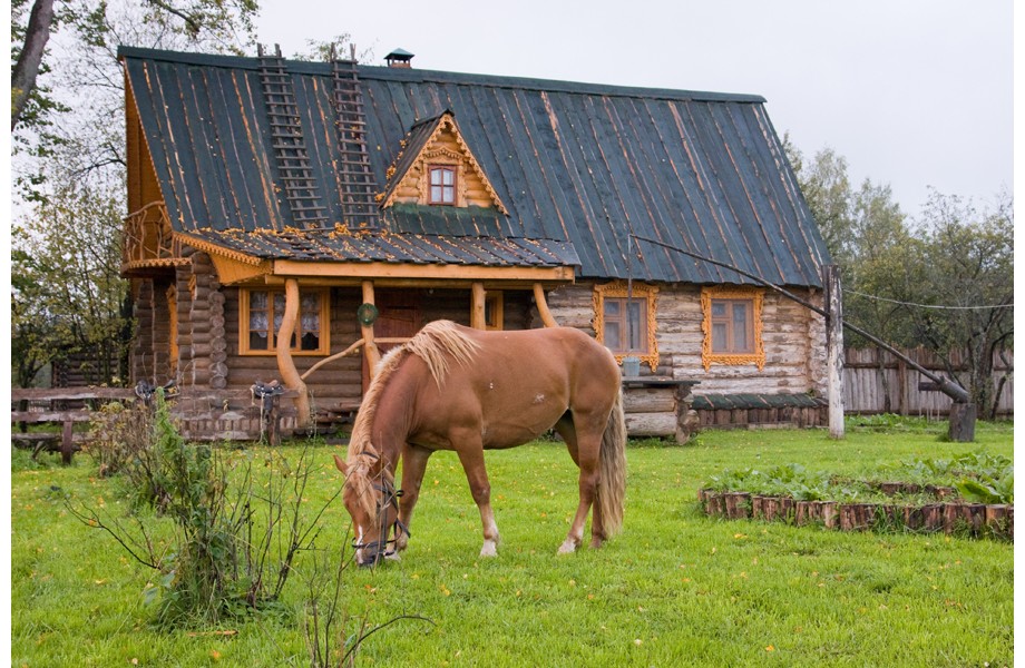 Коллективная охота на пятнистого и благородного оленя