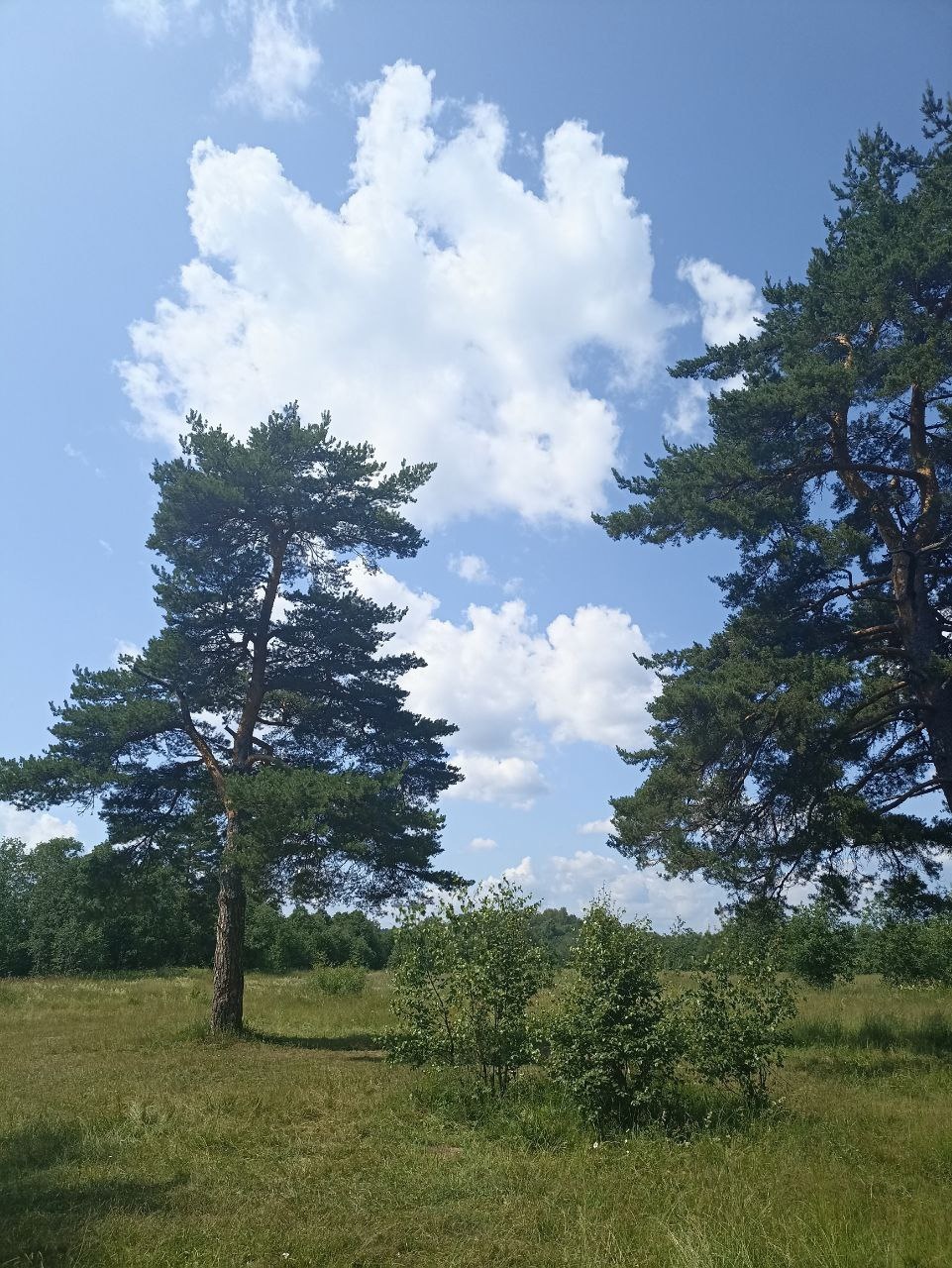 Сплав по реке Осуга на байдарках