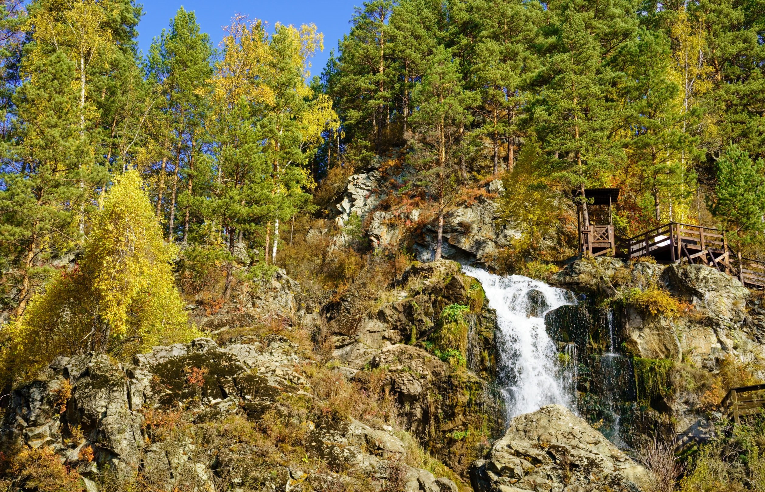 Алтайские каникулы