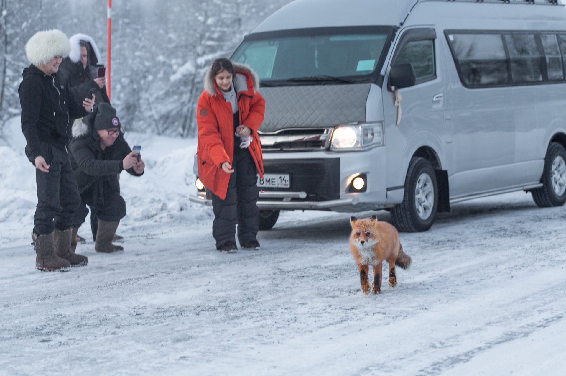 Автотур от Якутска до Магадана