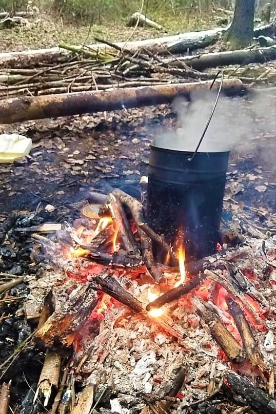 Поход в Пушкинском районе: встреча с кабанчиками