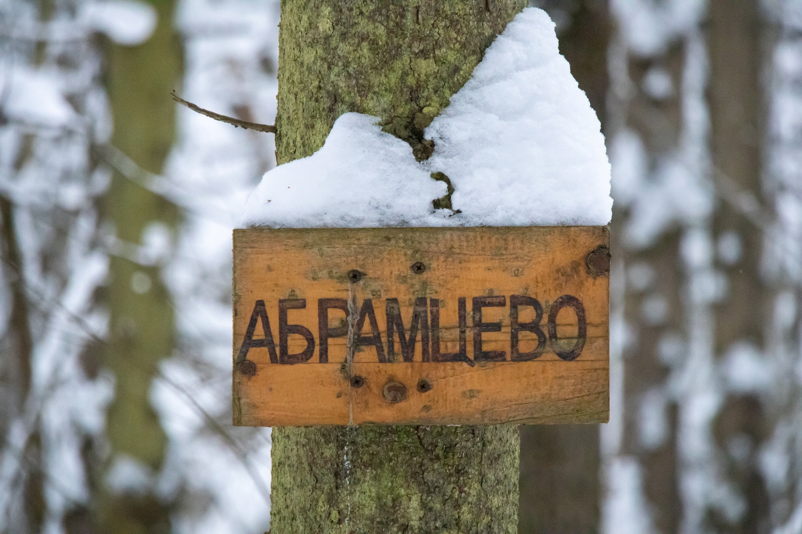 Двухдневный лыжный тур: от Калистово до Абрамцево