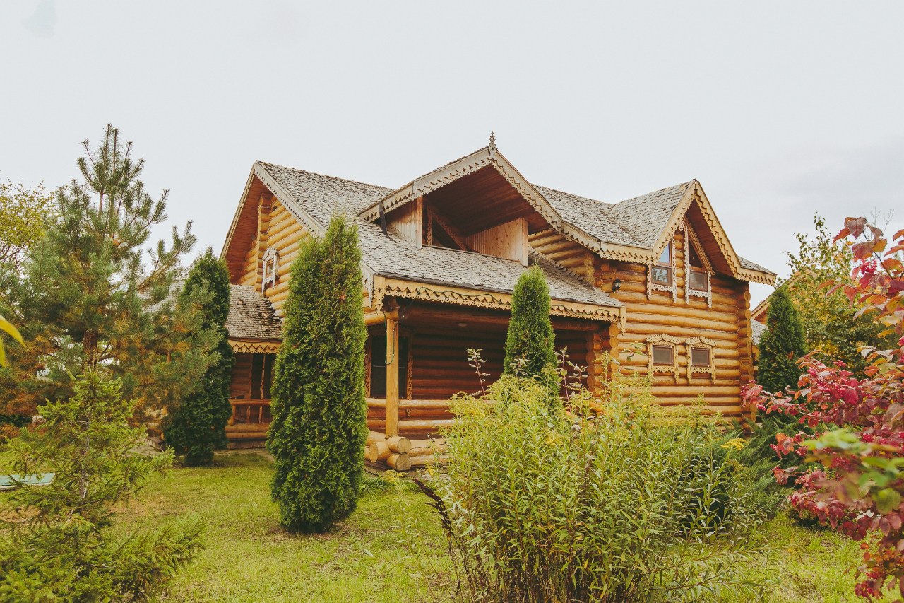 Весення охота на гуся