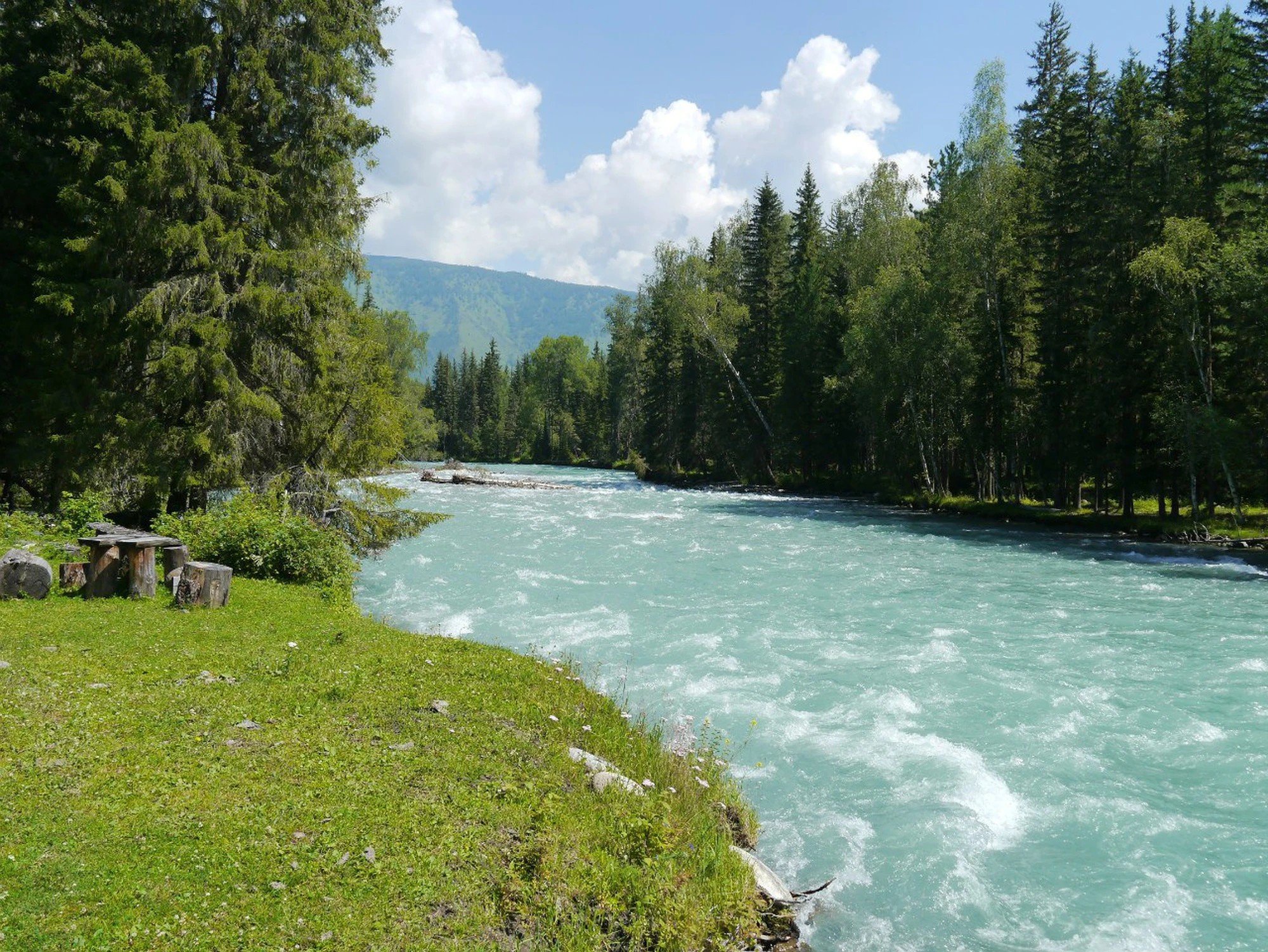 В предгорья Белухи