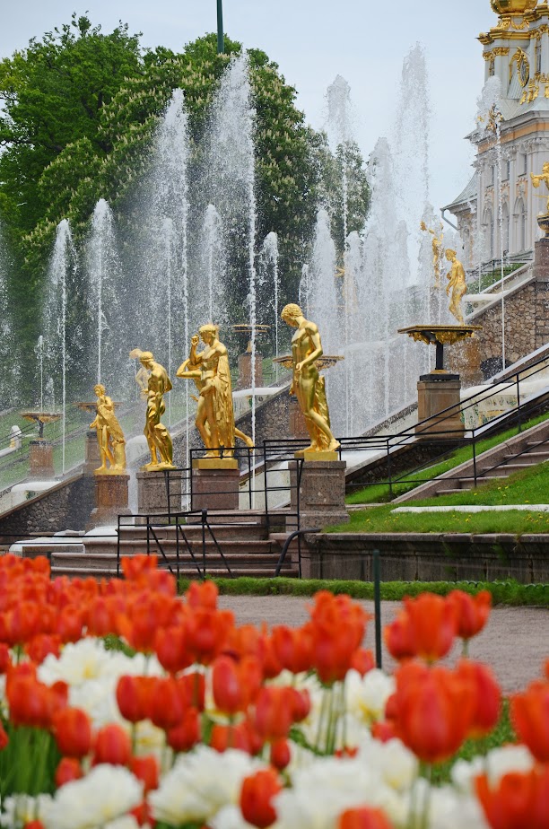 Магия белых ночей в Петербурге на автобусе из Москвы