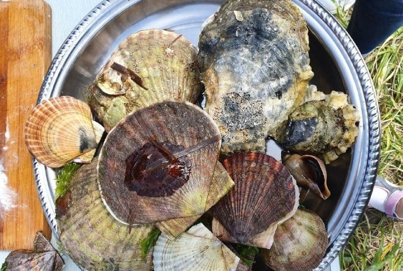 Увлекательное приключение на озере Буссе: ловля устриц и мастер-класс
