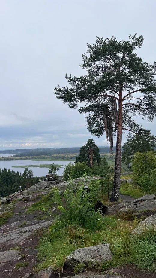 Путешествие по Карелии: водопады республики