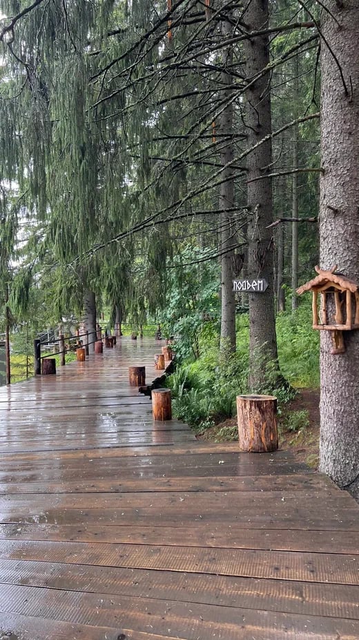 Путешествие по Карелии: водопады республики