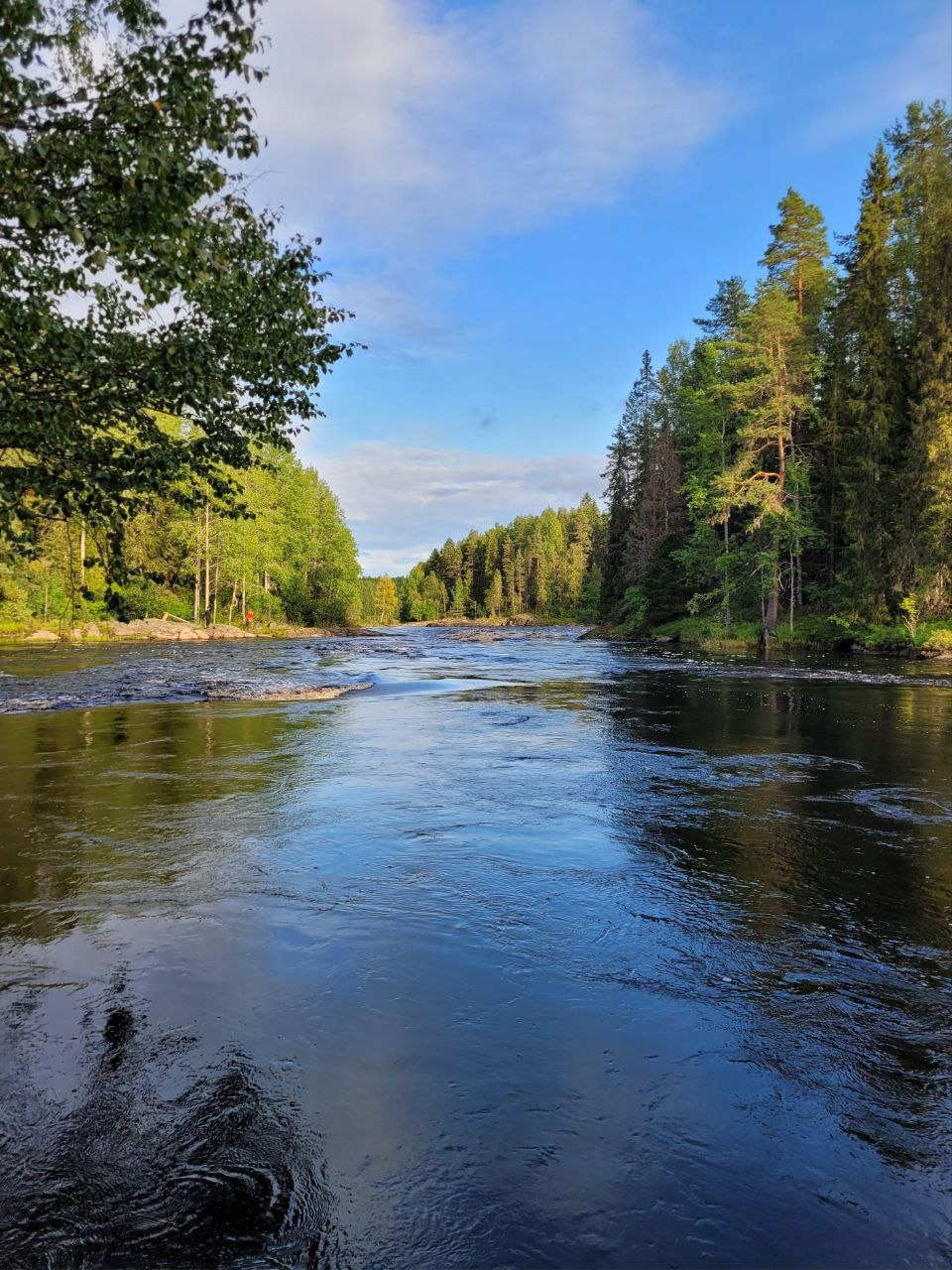 Сплав по реке Шуя